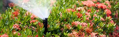 Sprinkler, Irrigation, repair, service, installation, maintenance, seasonal contracts, Toms River, Ocean County, NJ